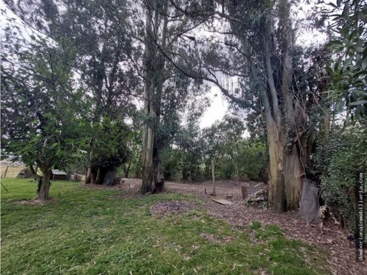 CASA QUINTA, EL COYUNCO