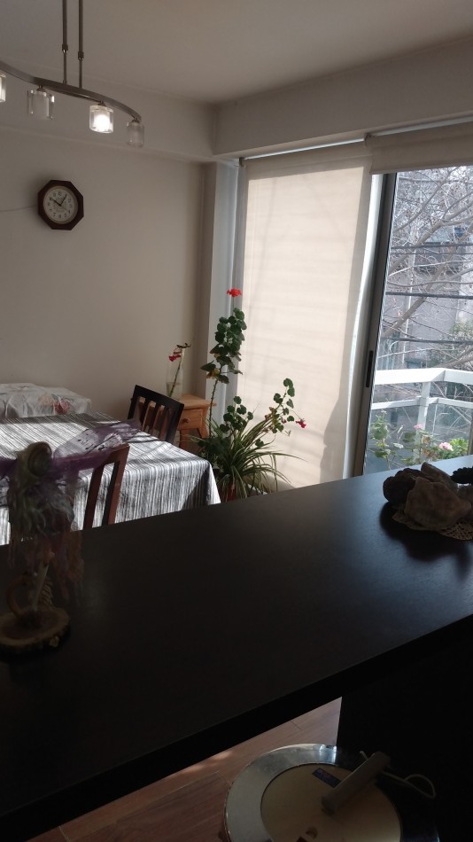 DEPARTAMENTO SEMIPISO DOS AMBIENTES. PLAZA MITRE