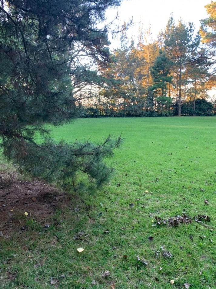 Chalet sobre 5 lotes en Mar de Cobo