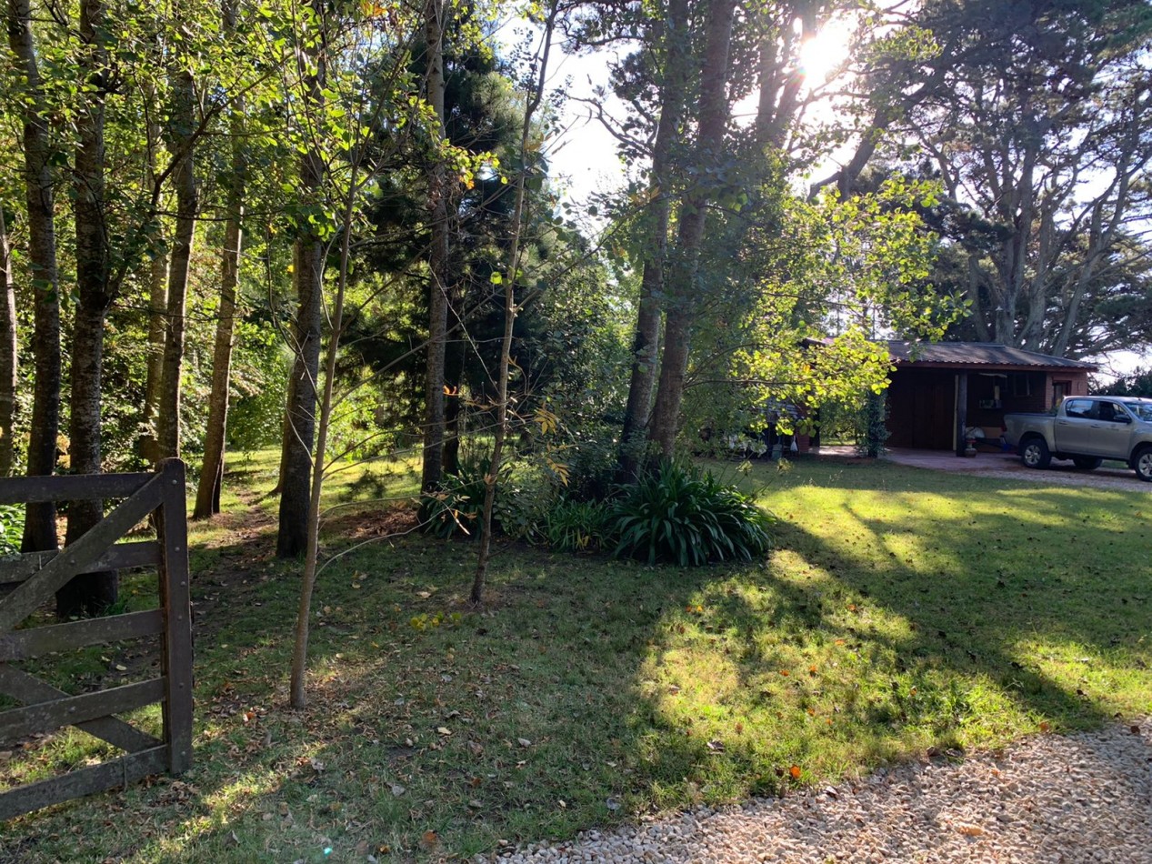 Chalet sobre 5 lotes en Mar de Cobo