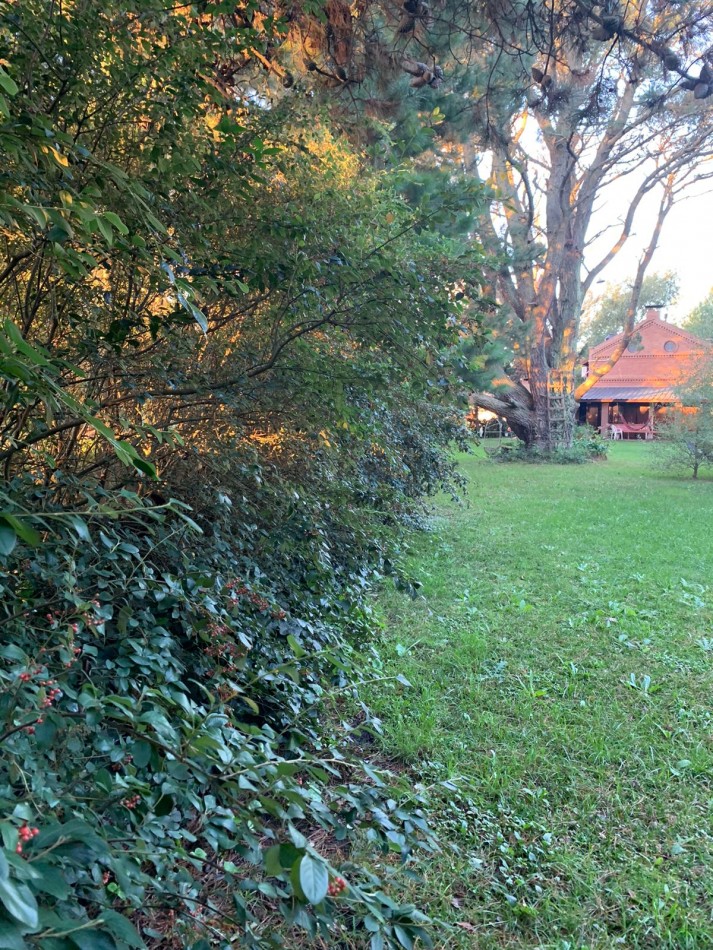 Chalet sobre 5 lotes en Mar de Cobo