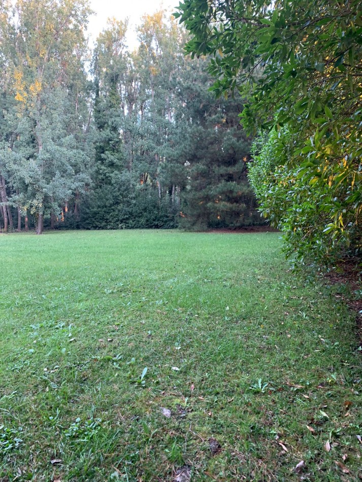 Chalet sobre 5 lotes en Mar de Cobo