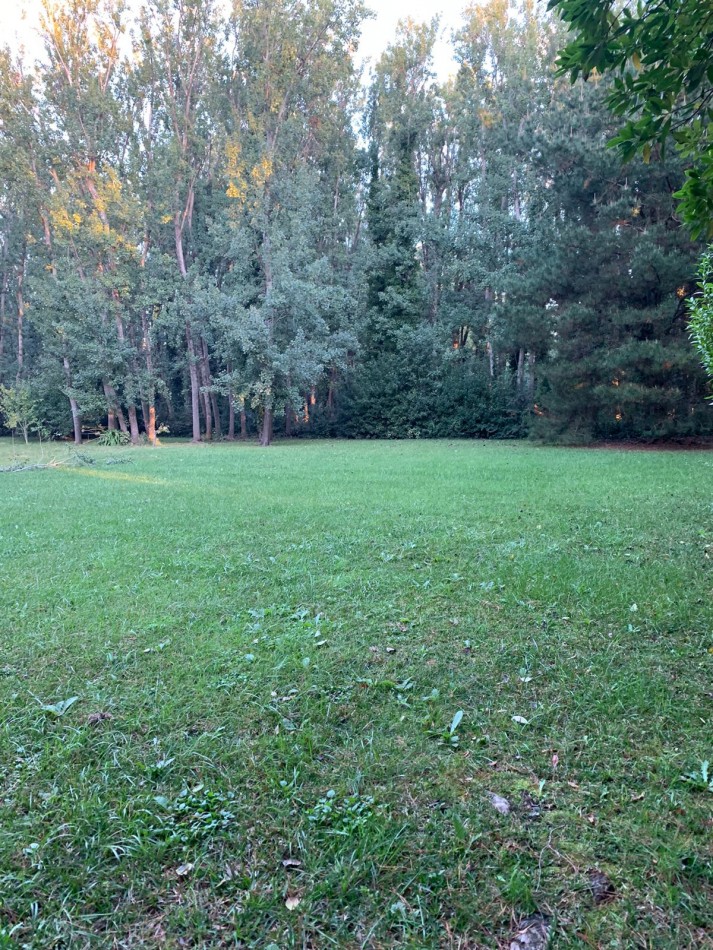 Chalet sobre 5 lotes en Mar de Cobo