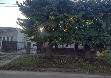 Chalet a reciclar en Barrio La Zulema