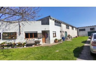 GALPON EN VENTA. ZONA VERTIZ Y POLONIA (E3)